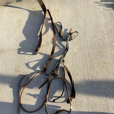 Horse Tack