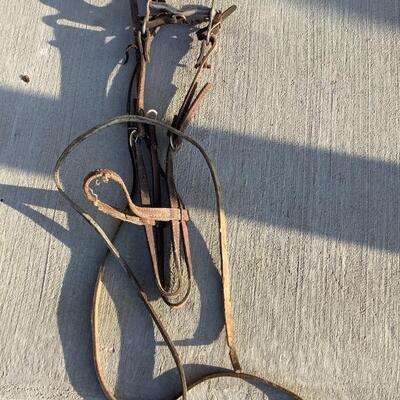 Horse Tack