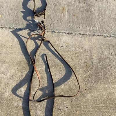 Horse Tack