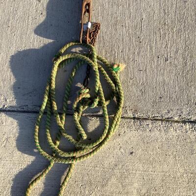 Horse Tack