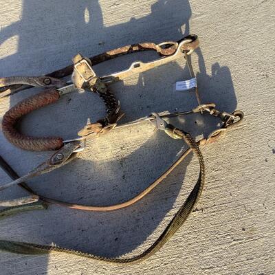 Horse Tack