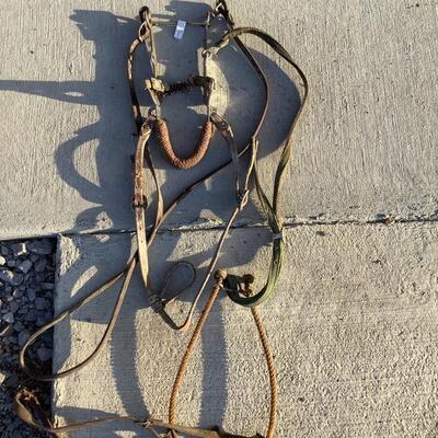 Horse Tack