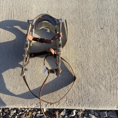 Equine Dental Speculum