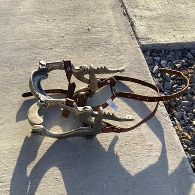 Equine Dental Speculum