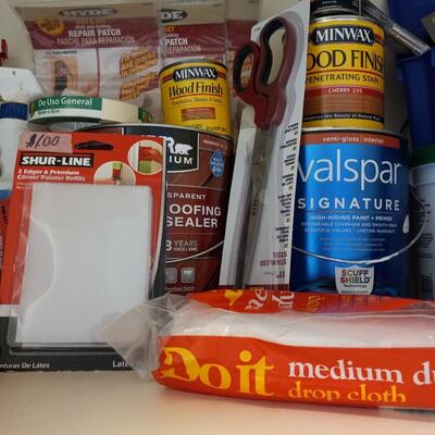 LOT 124  PAINT, PAINTING SUPPLIES, STAIN, HOUSEHOLD CHEMICALS