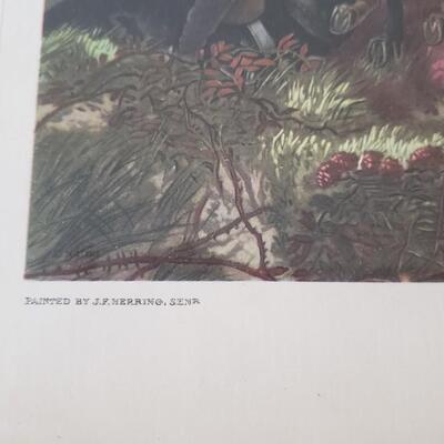 Herring's Fox Hunting Scenes Classic hunting print