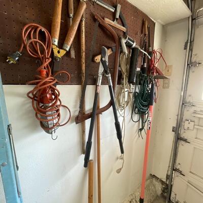 Garden Tools & Ladder