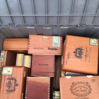 101 Large Container of Empty Cigar Boxes