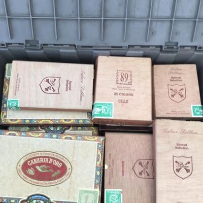 102 Large Container of Empty Cigar Boxes