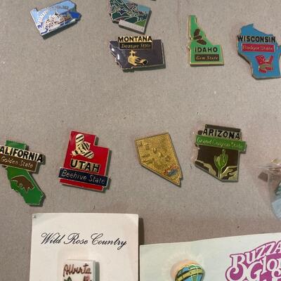 Pin Pinback Lot