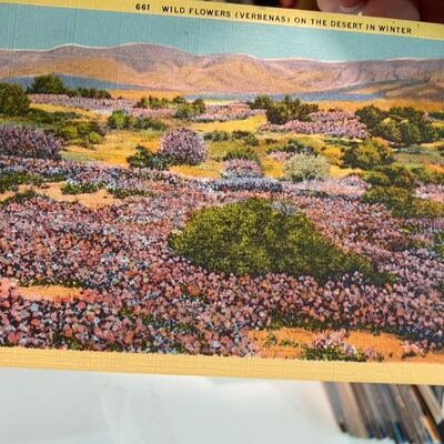 Postcard Lot: Linens States Cities Buildings Flowers