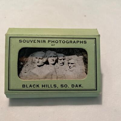 Mini Photo View Rushmore South Dakota