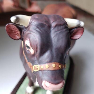Dairy Shorthorn Bull Royal Worcester 1965