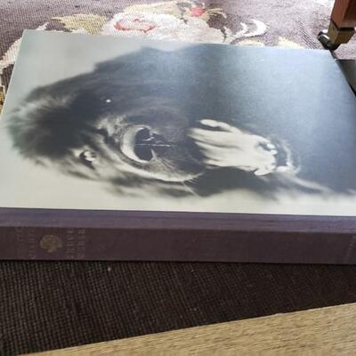 Coffee table art books! Book Lot #1