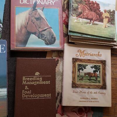 vintage Horse books, Book Lot #4