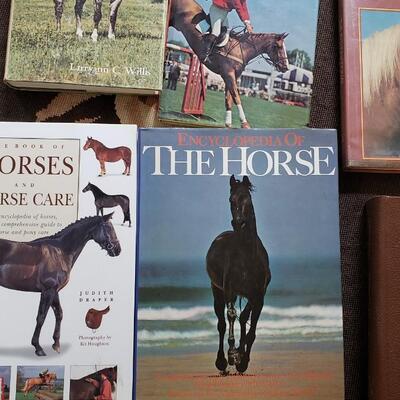 vintage Horse books, Book Lot #4