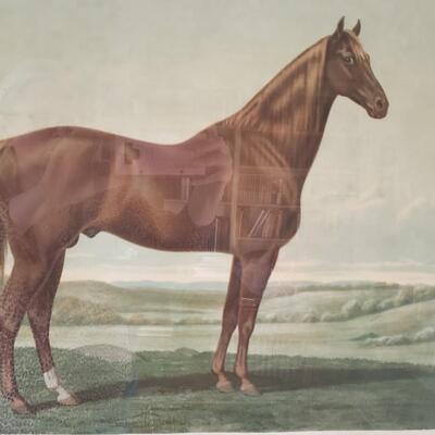 Fearnaught, vintage Lithograph, nicely framed 28" x 32" (Large)!