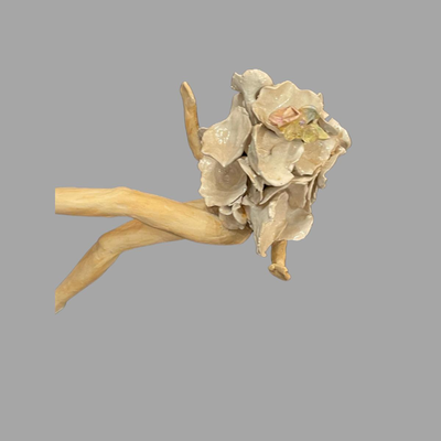 Susan Bergman Sitting Garlic Sculpture - 3"