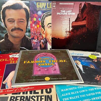 LOT 91: Big Lot of Vinyl - 20+ Assorted Records