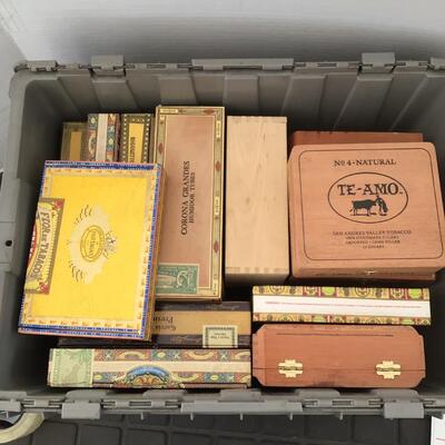 104 Large Container of Empty Cigar Boxes