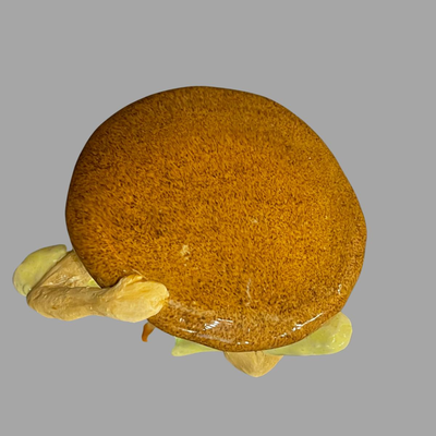 Susan Bergman Mushroom Head Sculpture - 8"