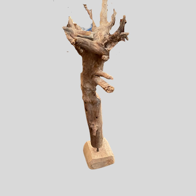 New Orleans Wood Artist depiction of Medusa - 27"
