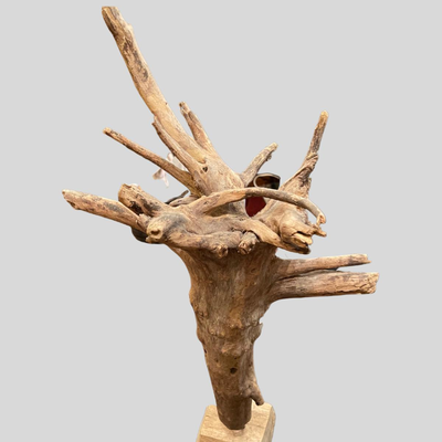 New Orleans Wood Artist depiction of Medusa - 27"
