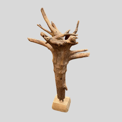 New Orleans Wood Artist depiction of Medusa - 27"