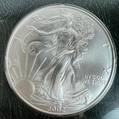 594  Uncirculated 2002 Silver American Eagle 1oz. Silver Dollar Bullion Coin