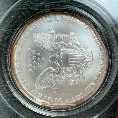 594  Uncirculated 2002 Silver American Eagle 1oz. Silver Dollar Bullion Coin