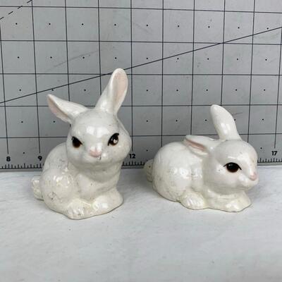 #70 White Rabbit Shakers