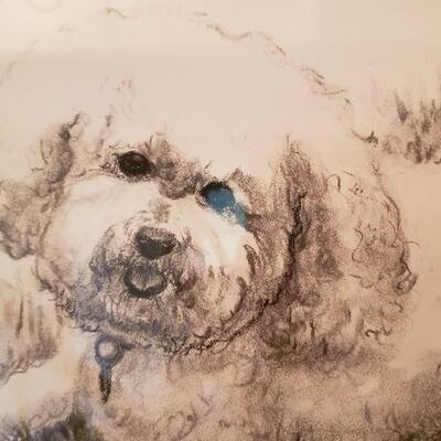 Original drawing of dog