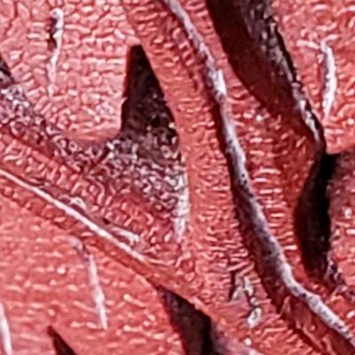 Two Cinnabar table lamps