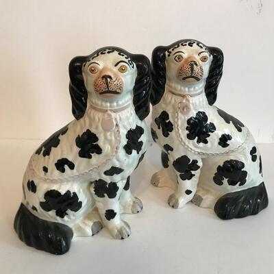 English Staffordshire Spaniels