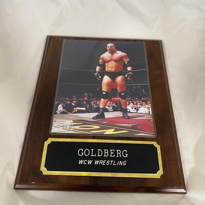 -145- WCW | Goldberg Plaque