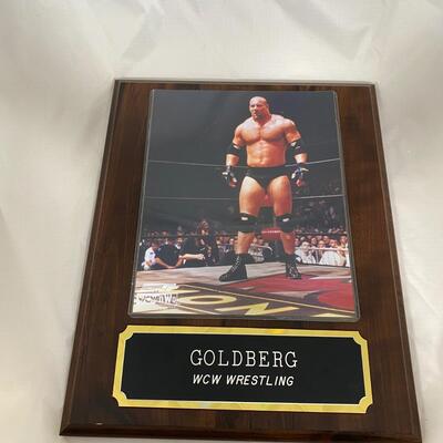 -145- WCW | Goldberg Plaque