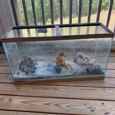 Fish Aquarium with Filter and Accessories (P-DG)
