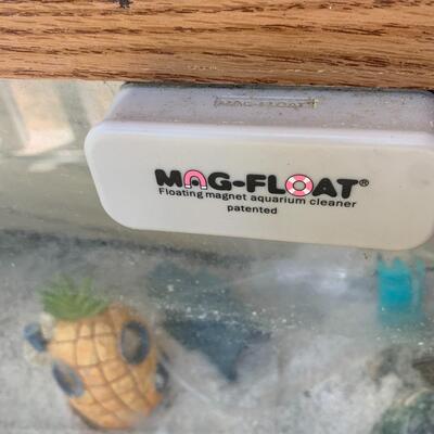 Fish Aquarium with Filter and Accessories (P-DG)