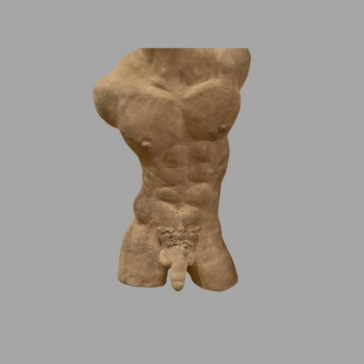 Erotic Male Torso Bust - 14"