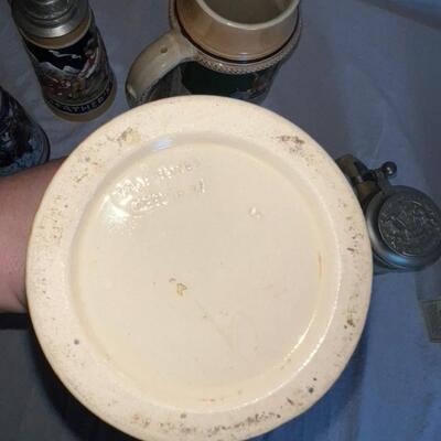 German Beersteins - Huge Lot