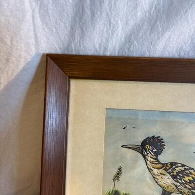 Artist Mary "Mr. Roadrunner" Painting 1 of 100