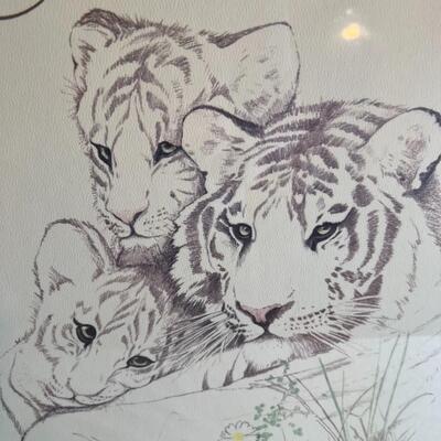2 Turner Framed Tiger Prints