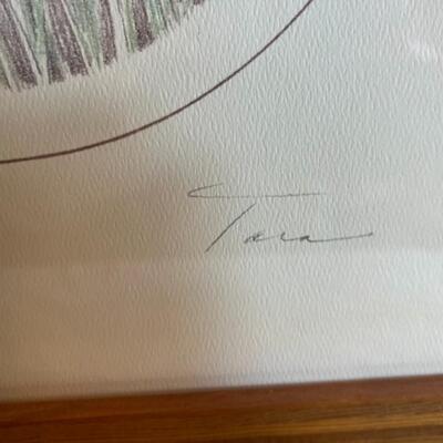 2 Turner Framed Tiger Prints