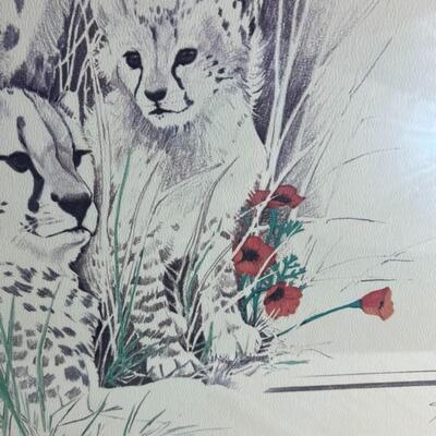 2 Turner Framed Tiger Prints