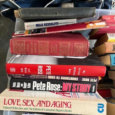 Huge Lot of Books