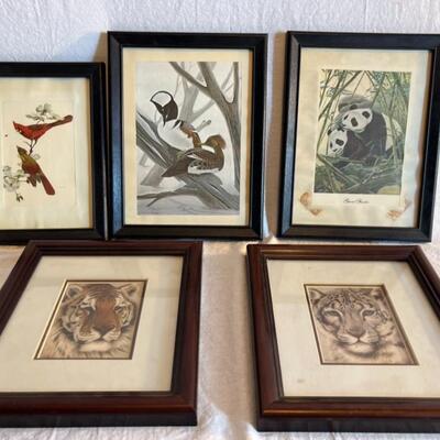 Large Frame and Print Lot