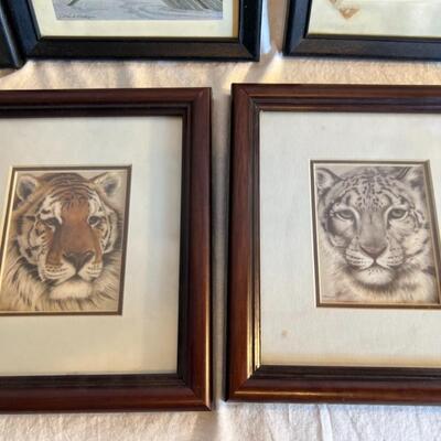 Large Frame and Print Lot