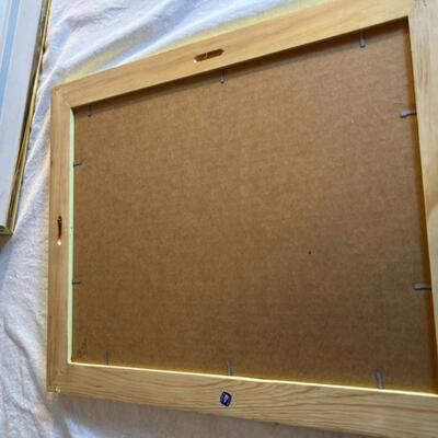 Large Frame and Print Lot