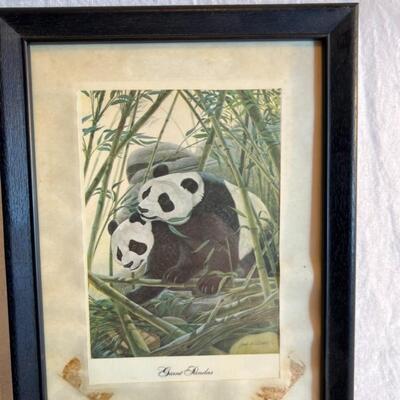 Large Frame and Print Lot