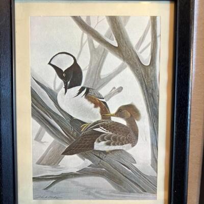 Large Frame and Print Lot